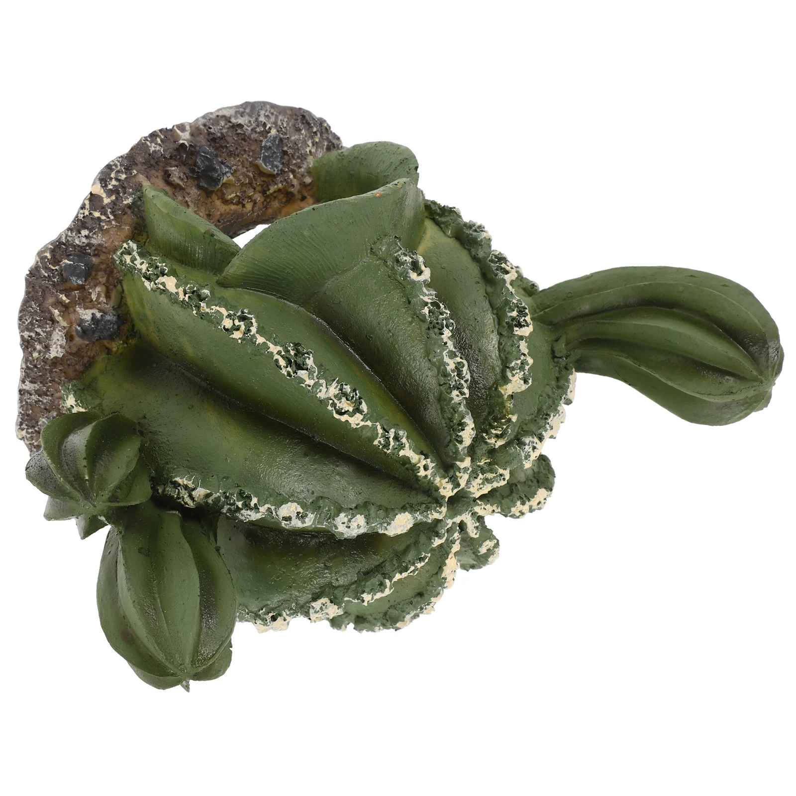

Resin Cactus Hideaway Hut Lizard Snake Terrarium Accessories Reptile Cave Gecko Duck Tortoise Hide Place Vivid Decor