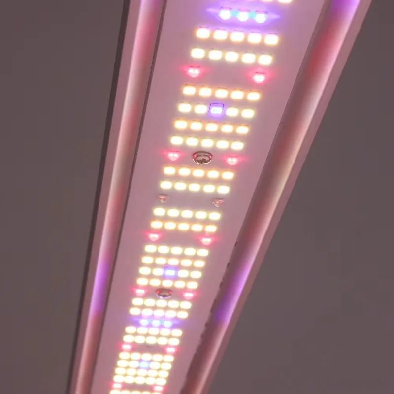 مصنع زراعي عالي الإنتاجية مصباح زراعي داخلي عشب حديقة عدة متكاملة Led تنمو ضوء بأفضل الأسعار