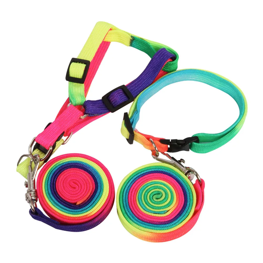 

2Pcs Colorful Dog Leash Durable Pet Traction Rope Simple Design Enjoyable Walking Experience Creative Pet Decoration