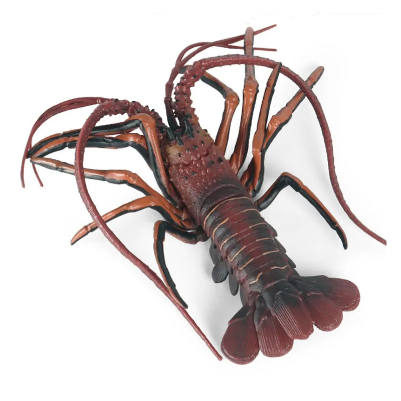 Model hewan Lobster laut tiruan ornamen dekorasi mainan hewan kognitif anak-anak Lobster Australia plastik padat