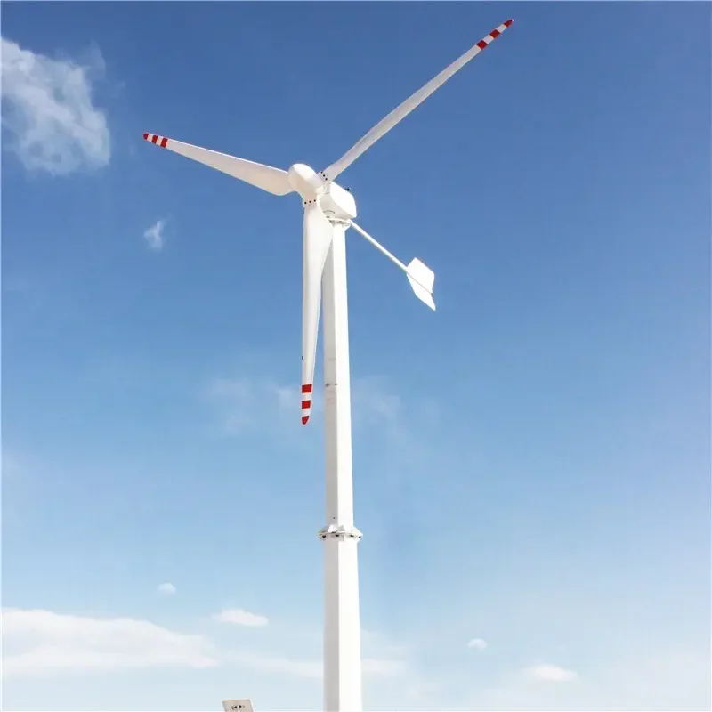 3KW Glass Fiber Blades Turbinas Eolice Wind Energy Real Power Horizontal Axis Wind Turbine Single Phase 220V On Grid System