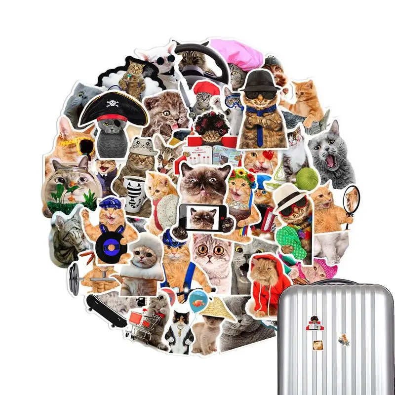 Cat Stickers Cute 66pcs Funny Kitten Decals Animal Aesthetic Stickers For Laptop Skateboard Scrapbook Suitcase Luggage Guitar