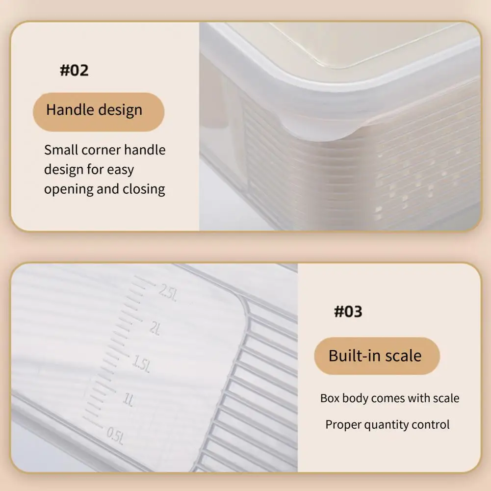 Boîte de rangement portable pour collations, boîte de conservation des aliments sans BPA avec couvercle, plateau de service à 6 compartiments pour collations, idéal pour les déplacements.