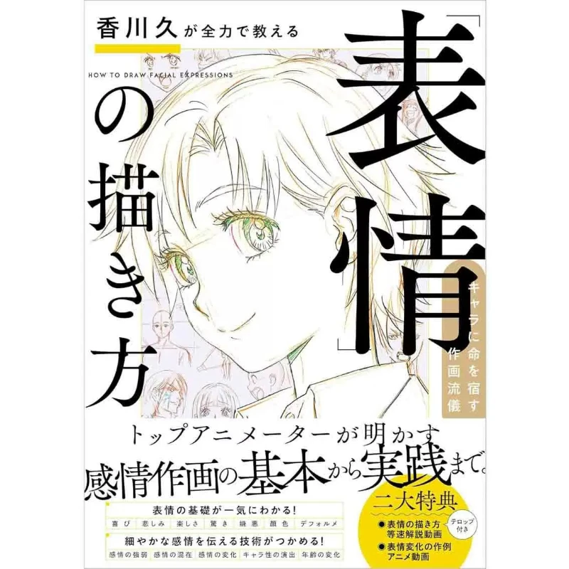 How To Depict Anime Character Facial Expressions: A Drawing Technique Book Written By Hisashi Kagawa Japanese Edition