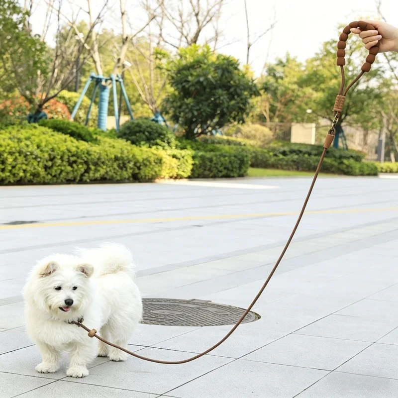 

Premium Anti Pull Dog Training P Chain Walking Leash Heavy Duty Adjustable Pet Traction Rope For Small Medium Large Dogs