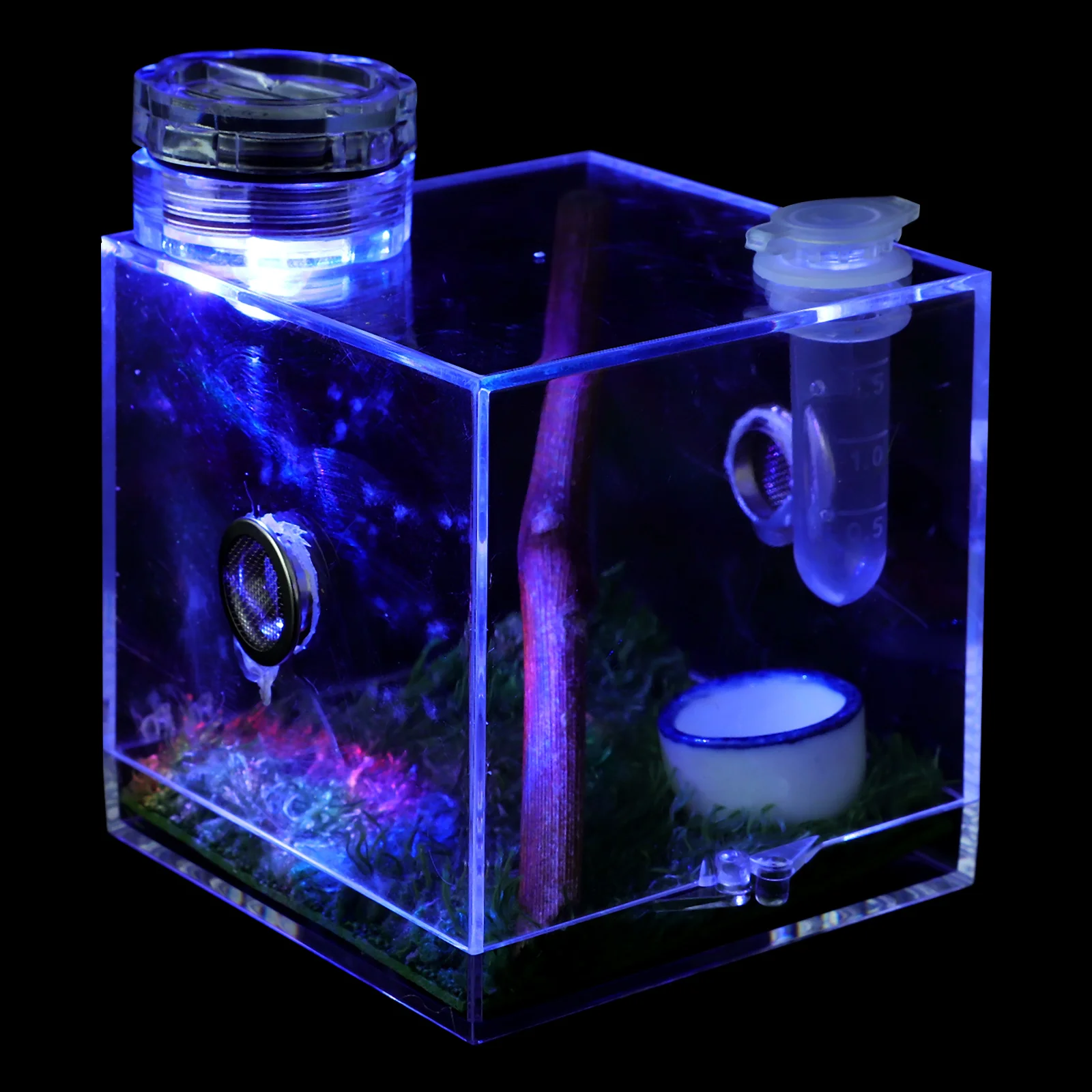 

Stuff for Jumping Spiders Breeding Box Animal Carrier Ceramics Case Accessories