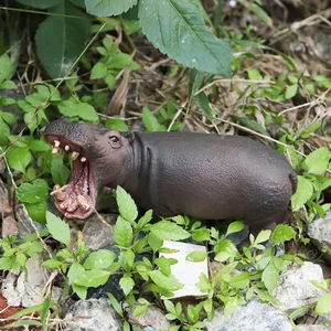 Oenux-Symulation Tiermodell, Wild Rhino, indisches Ornament von Hippo PVC, Bildungsspielzeug für Kinder, Gegenwart 6 Hauptverkäufe für indische Puppen - №3