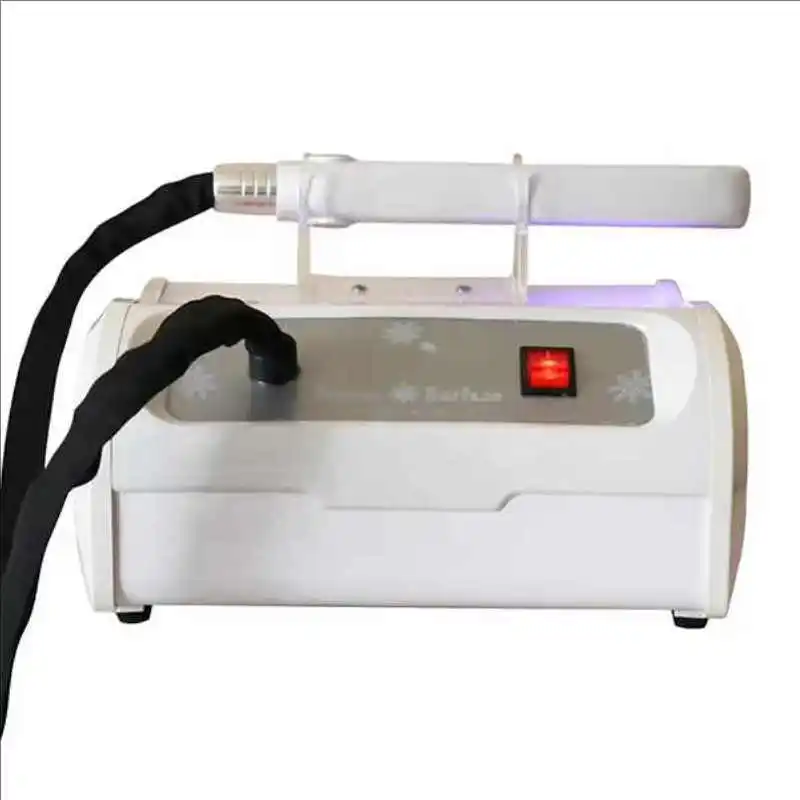 Hair Care Ultrasonic Infrared Cold Plate Hair Straightener Flat Iron for Keratin Hair Treatment Frozen Machine