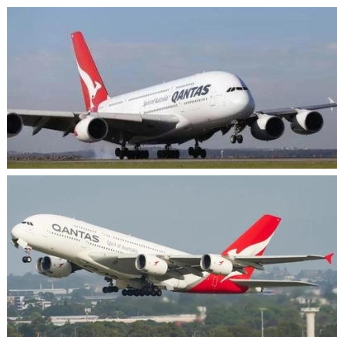 

Airbus 380 1/160 Scale 50.5CM Die-cast Plastic Resin Model Aircraft A380 Qantas Airways Aviation Plane Model Airplanes Decoratio