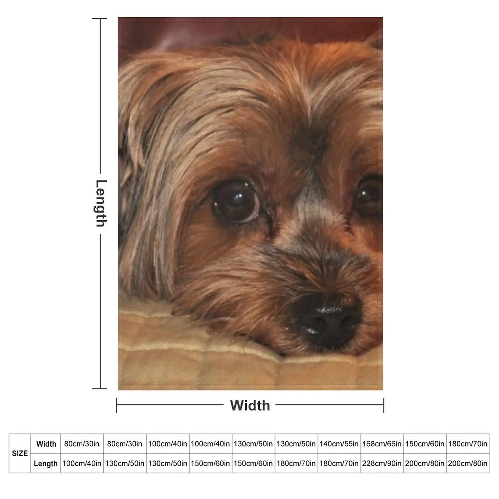Cute Yorkshire Terrier Yorkie Puppy Dog Throw Blanket couch cozy soft plush fuzzy picnic outdoor blanket