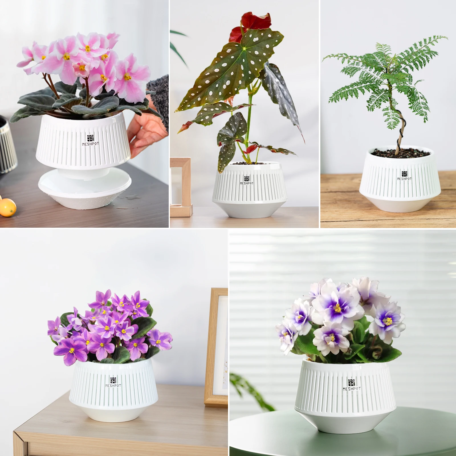 Meshpot-Orchideentopf mit Löchern, Blumentopf aus Kunststoff, dekorative afrikanische violette Töpfe mit Luftschnitt und guter Luftzirkulation – Detail 12