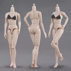 ASTOYS1/6 Scale Female Body Figures Small/Large Chest Flexible Body Action Figure Collectible Doll Toys Collection AS058