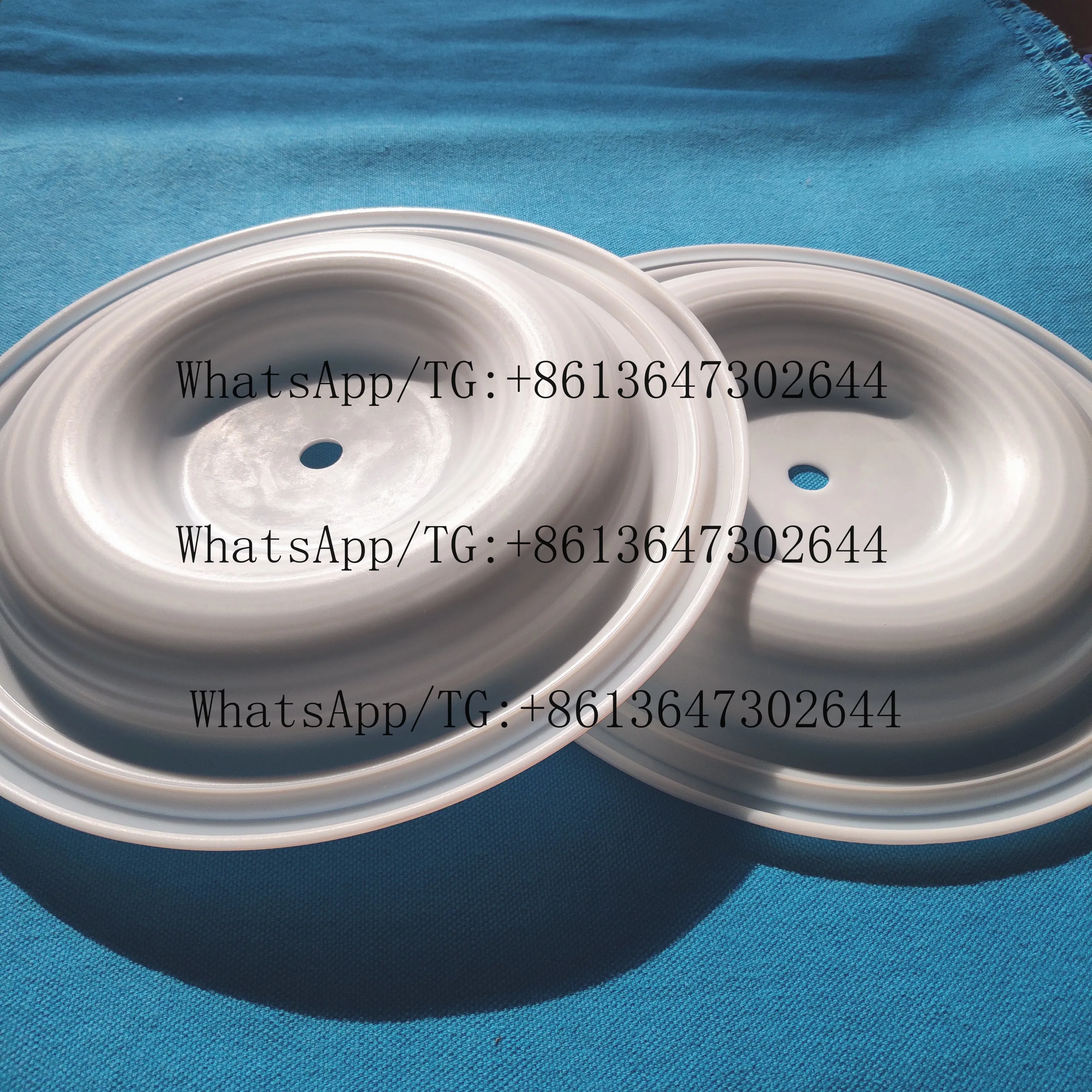 Ptfe Diaphragm CF 04-1010-55/04.1010.55 Diaphragm Manufacture Apply for