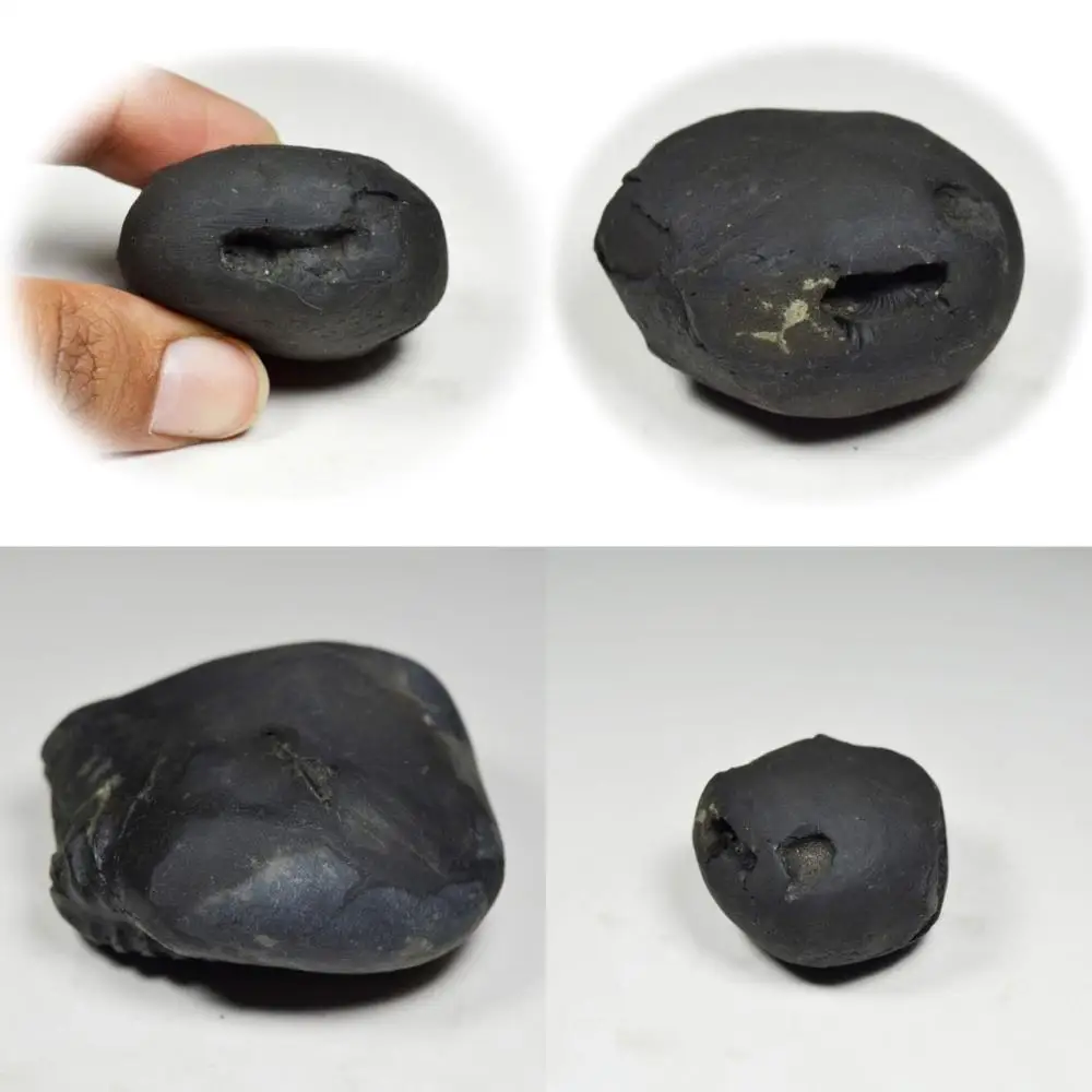 

Оптовая продажа высококачественного 55-каратного Shaligram Stone от Gandaki River, Nepal - Original Fossil, Lord Vishnu Inspired, A+ Grade Long