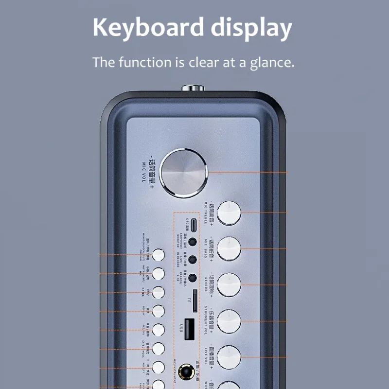 100 Вт высокомощные профессиональные домашние Hi-Fi караоке Беспроводные Bluetooth колонки портативный OTG цифровой живой динамик с 2 микрофонами