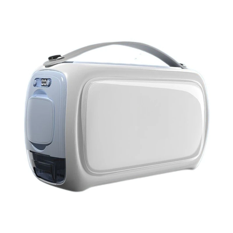 

refrigerator box for insulin, rechargeable battery for portable medicines, and mini refrigerator in a carry-on car.