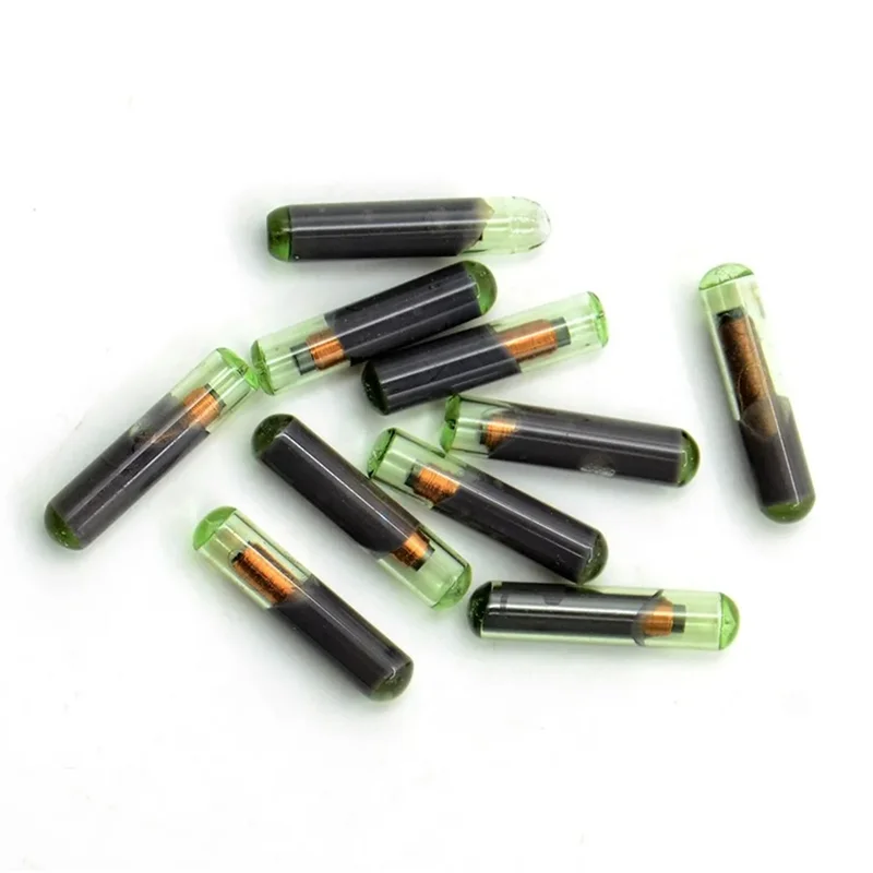 

20 Piece ID48 Transponder Chip ID 48 Car Key Glass Chip Blank Auto Transponder Chips As Shown Glass ID 48 Unlock Chip-AU62
