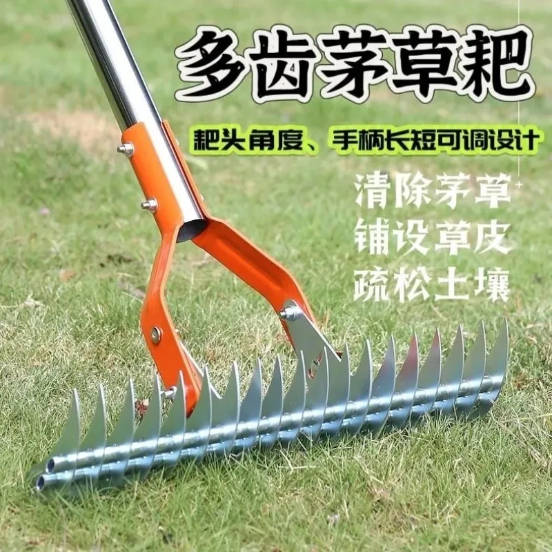 Detachable Lawn Thatch Rake, Garden Tool for Dry Grass, Leaf Cleaning, Weed Removal and Soil Loosening