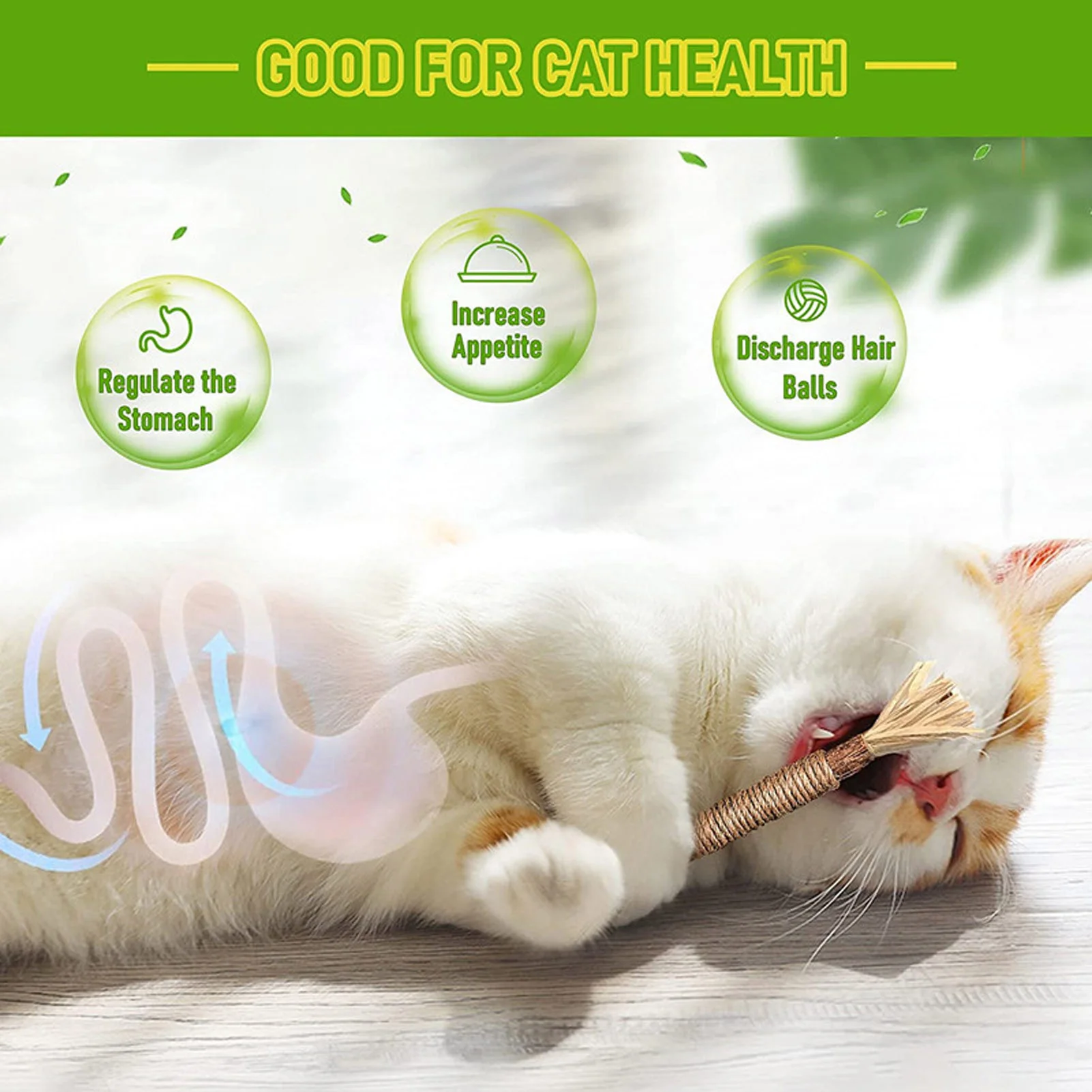 Natural Matatabi Cat Snacks Sticks Catnip Pet Cat Toys Actinidia Polygama Molar Toothpaste Stick Cleaning Teeth