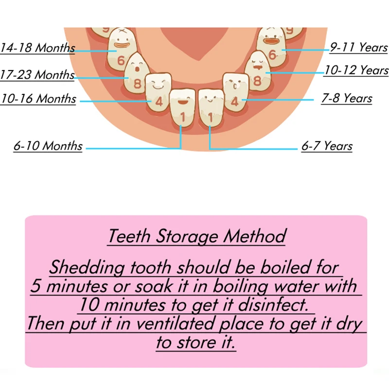 Natural Wood Baby Tooth Keepsake Box | First Hair & Falling Teeth Storage Organizer for Boys Girls | Kids Memory Gift