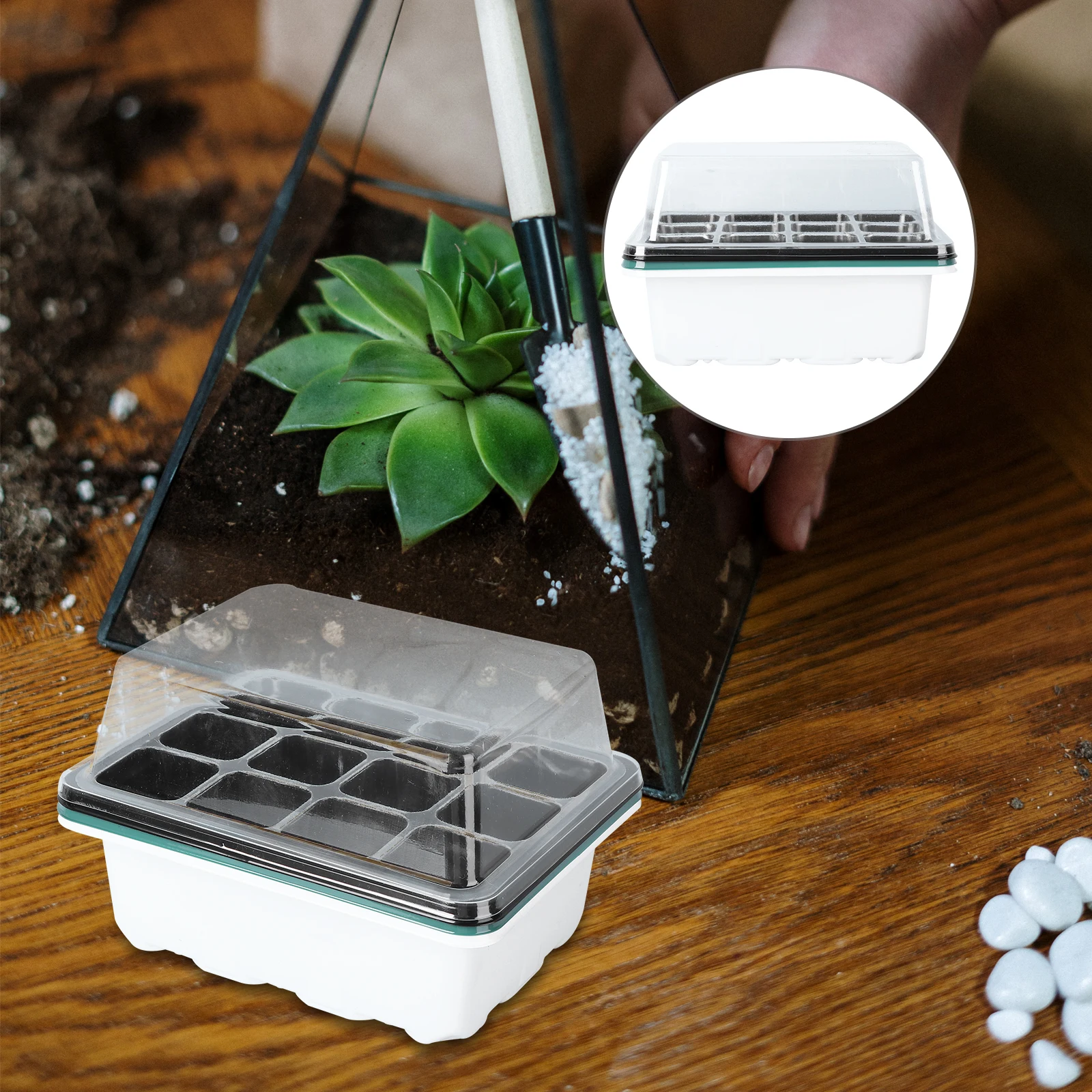 Рисунок 2 - поднос для детских растений из ПЭТ