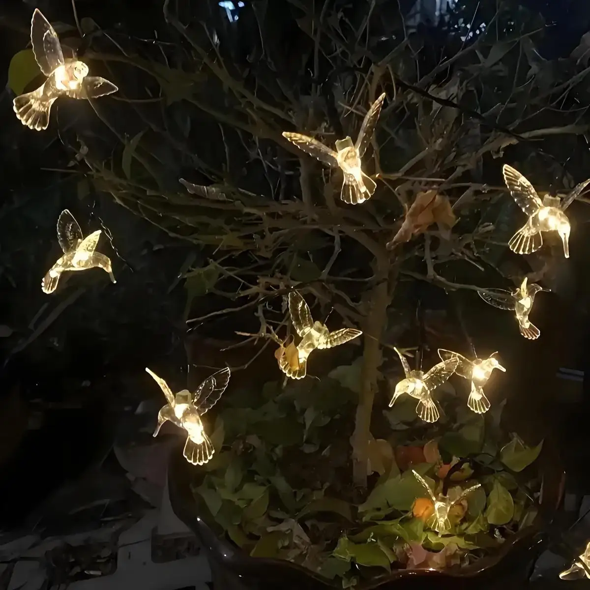 Cadena de luz solar - Lámpara de hadas de 20 LED Lámpara de colibrí para jardín al aire libre, decoración de patio y valla, ahorro de energía, impermeable, 8 modos de iluminación, decoración navideña