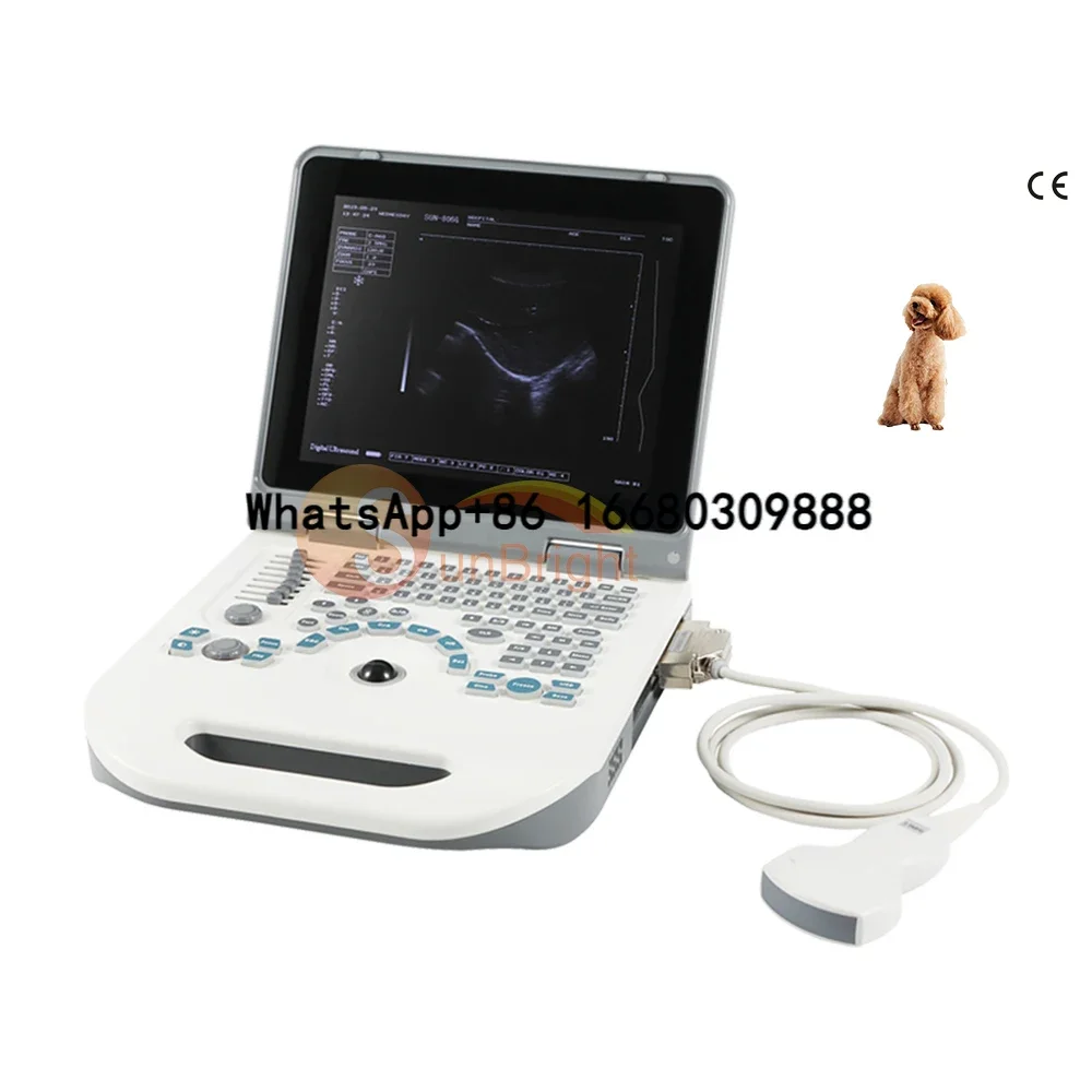 Peralatan diagnostik dokter hewan, ultrasonik Laptop portabel B mesin Ultrasound