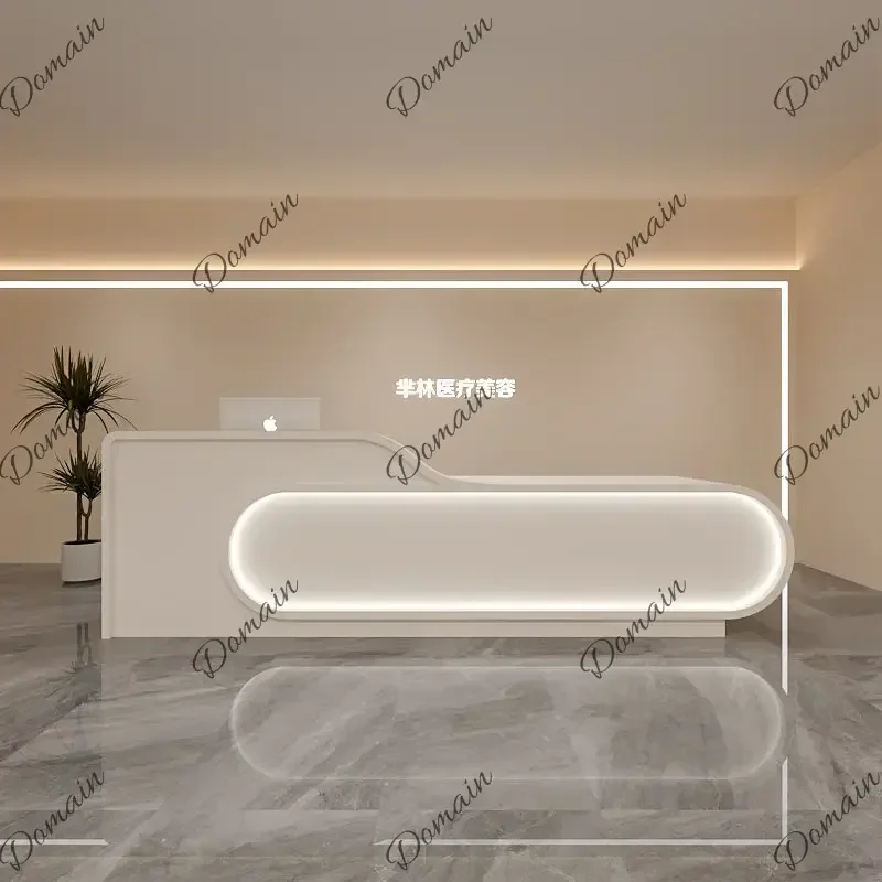 46XX The Front Desk Reception Desk Of The Paint Baking Company Can Be Customized Computer Desk Bureaux De Travail Designer Furni