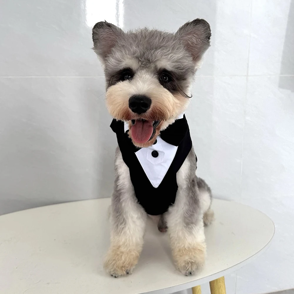 Hochzeits-Hundegeschirr im Smoking-Stil mit Fliege, verstellbare, atmungsaktive Weste mit D-Ring, kein Ziehen, für kleine und mittelgroße Hunde – Detail 14