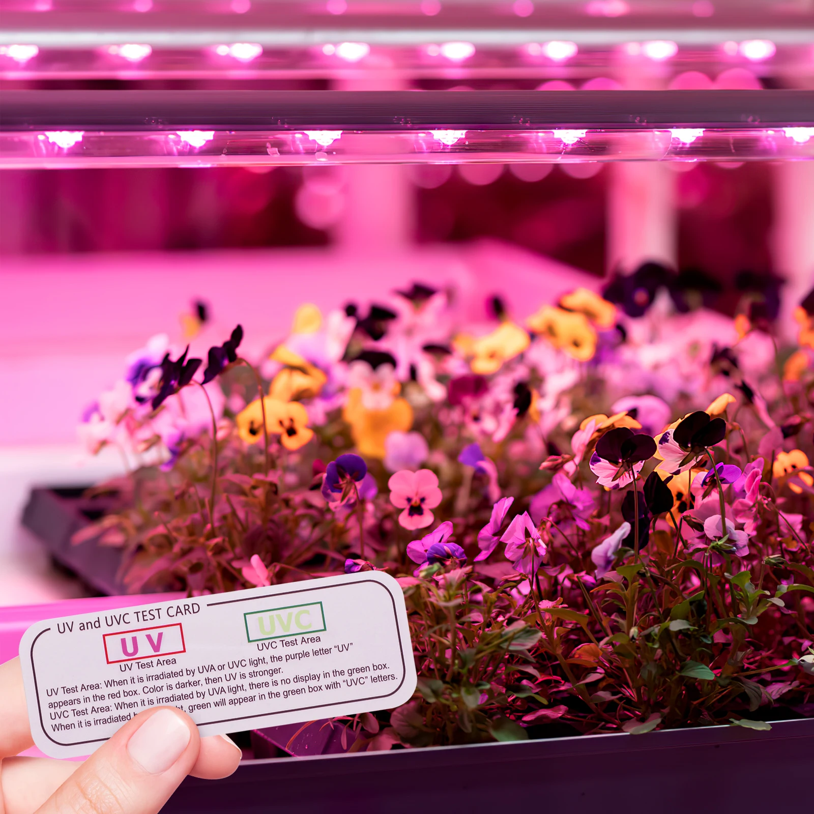 5 pçs cartões de teste uv uvc uva tiras de teste de luz indicador ferramentas de detecção para caixas de desinfecção controle de calibração germicida