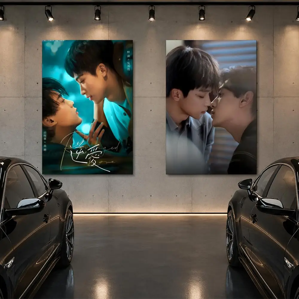 tv Revenged Love Poster Room Decor Home Wall Art Printing Waterproof Garage BedRoom Posters Gift