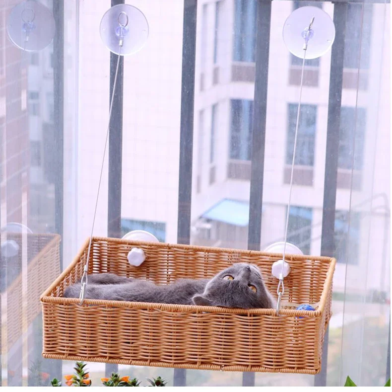 

Cat hanging blue window hanging nest summer hanging cat nest suction cup glass basking in the sun