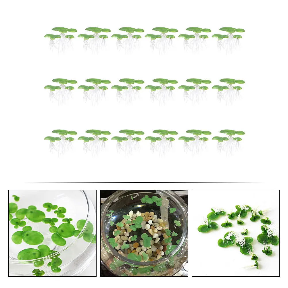 

54Pcs Artificial Floating Duckweed Aquarium Simulation Plants Lifelike Decor Natural Fish Tank Ornament Aquarium