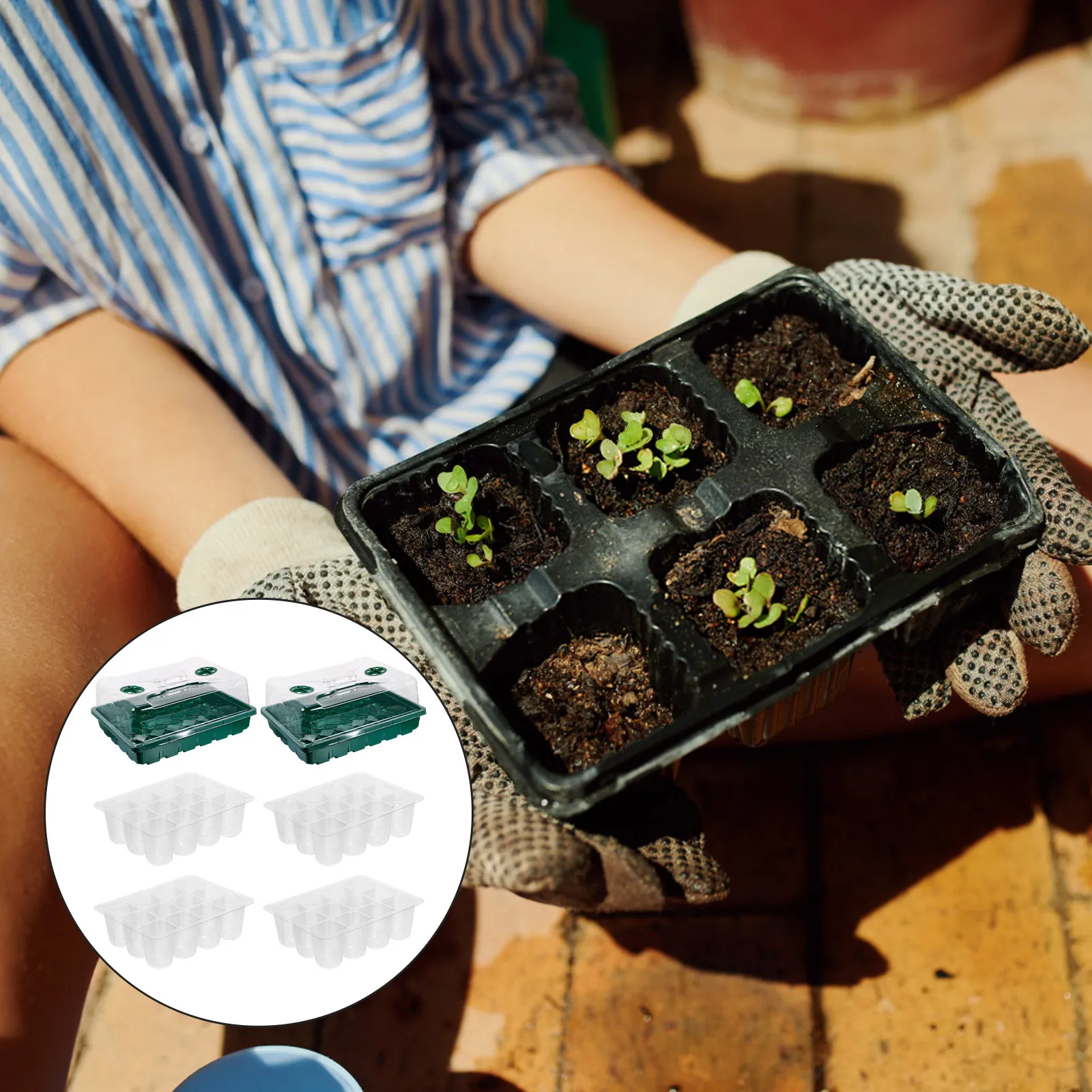 1Set Large Planting Germination Tray Propagator with Height Extender Adjustable Ventilation Hydroponic Nursery Pot Sprouter