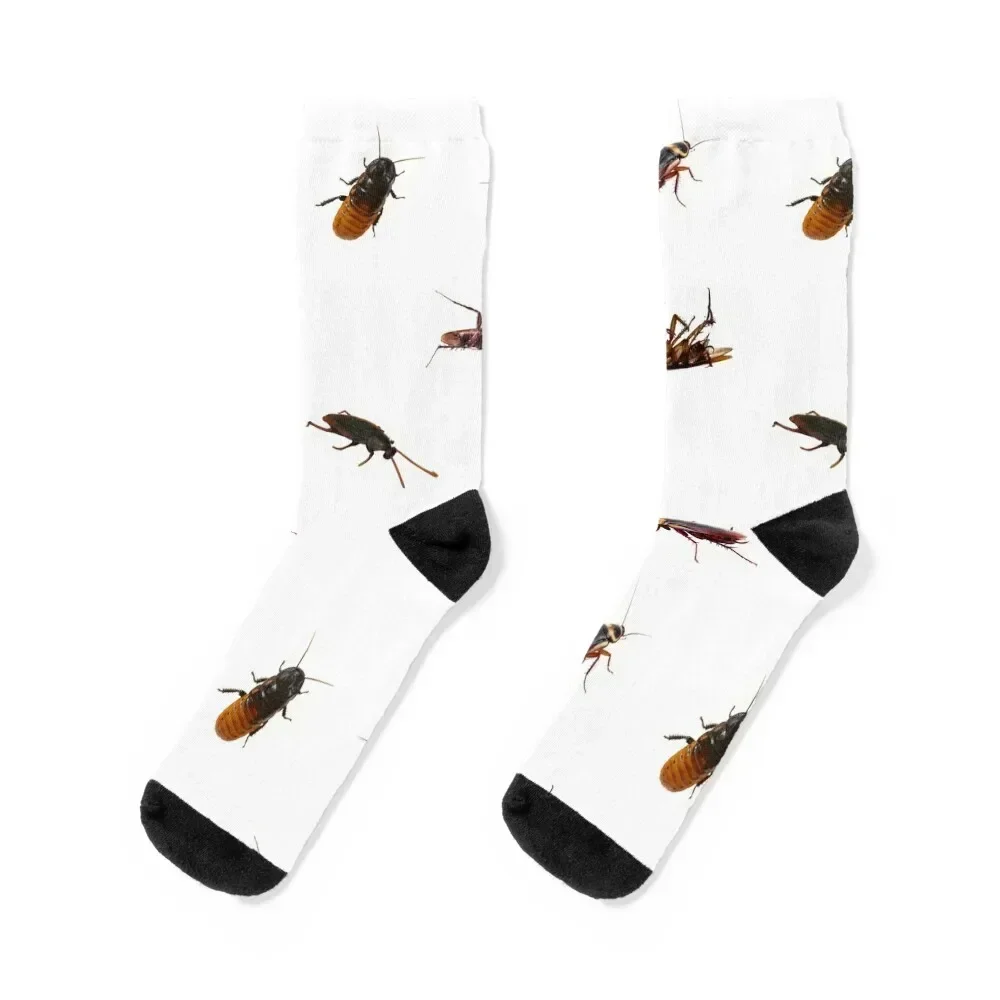 

Cockroach Bundle Socks Children's basketball Hiking boots colored Girl'S Socks Men's