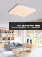 Modern Ceiling lamps Square LED ceiling lights 18W 24W 36W 48W Cold Warm White Natural light LED for living lighting