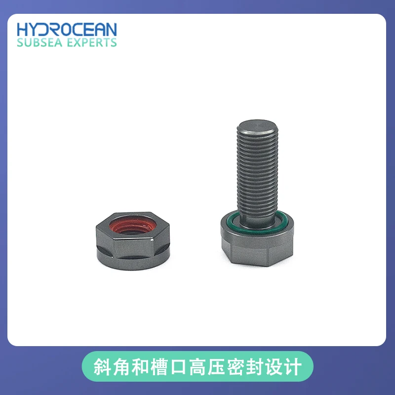 ROV bulkhead element M8 M10 M16 sealing chamber fitting waterproof sealing bolt Hydrocean Solid screw