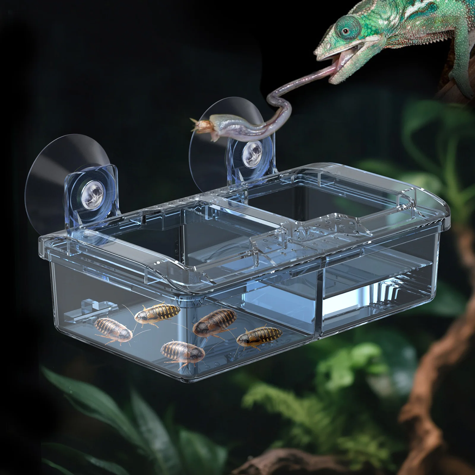 Reptile Water Food … - image