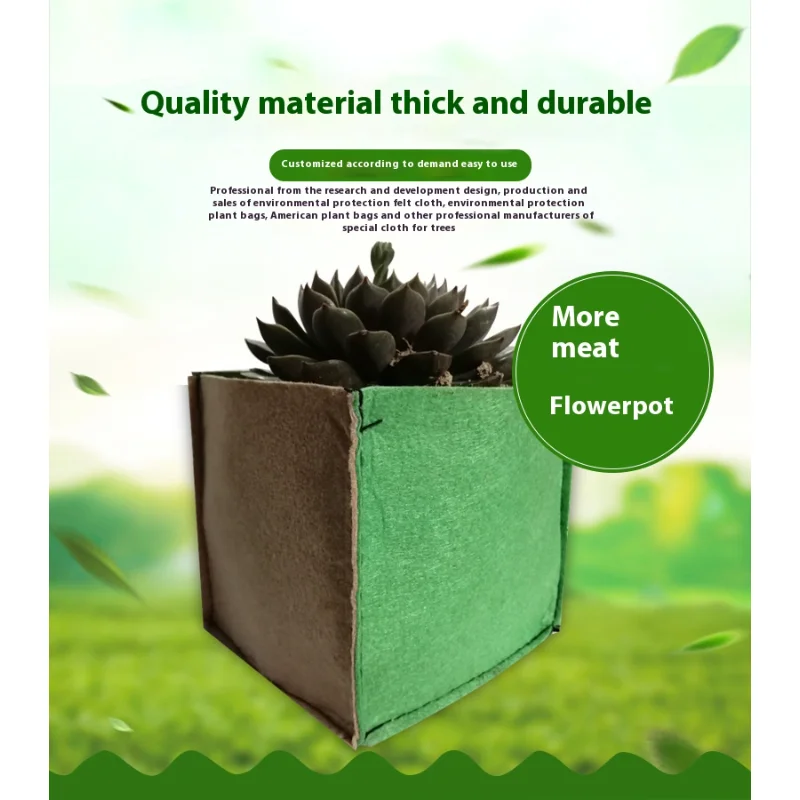 

Felt Succulent Planter - Modern Desktop Plant Grow Bag for Small Cacti & Air Plants, Creative Home Decor