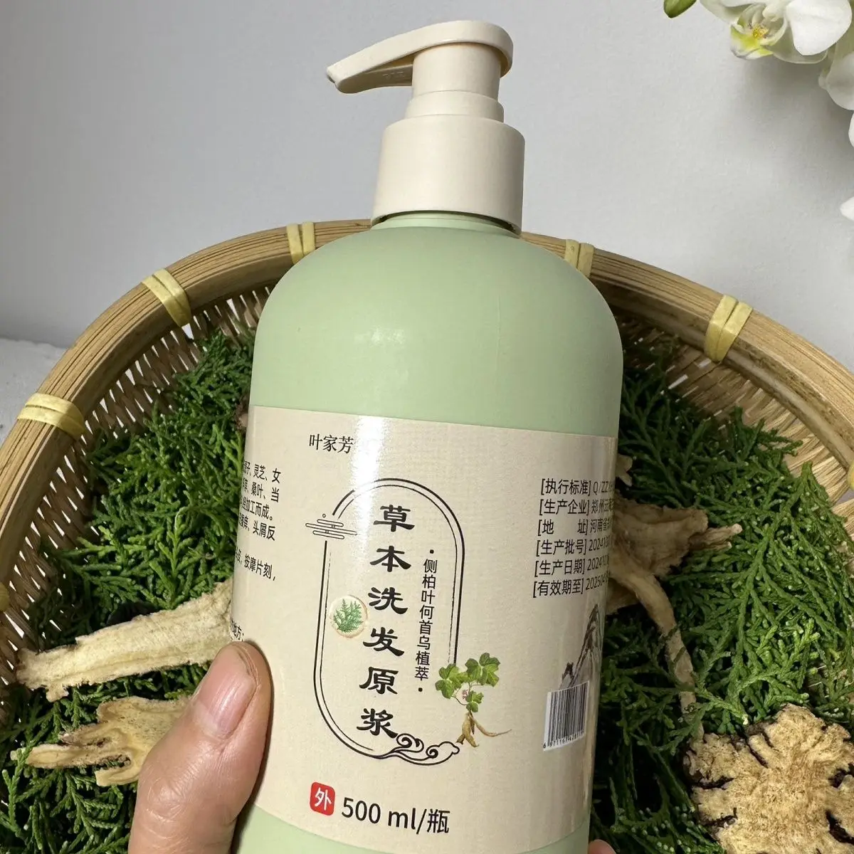 شامبو بيوتا آند فو تي المخمر يدويًا 500 مل، مضاد لتساقط الشعر والتحكم في الزيت مع مستخلص عشبي أصلي #2