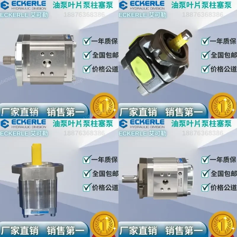 NEW ECKERLE EIPC3-050RA23-10 In-jection Molding Machine Oil Pump, Servo Oil Pump, Gear Pump, 1PCS