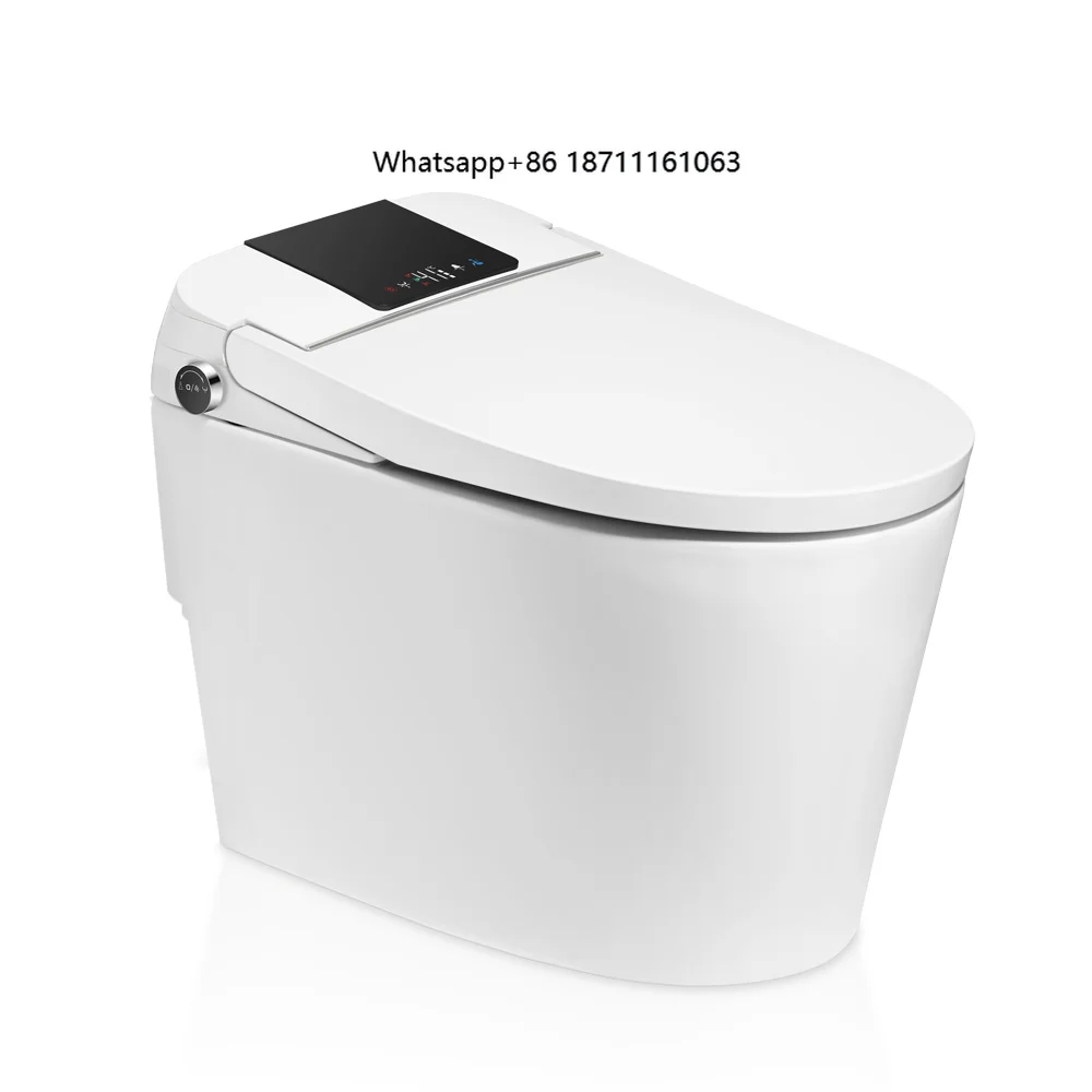 

Modern Ceramic Automatic Smart Toilet with Concealed Water tank