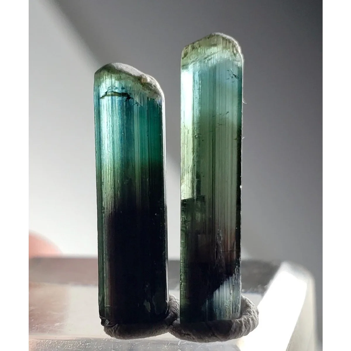 Brazilian Elbaite Rough Crystal Assortment, 10g 5-15mm Multicolor Stones, Display Box for Home Office Display