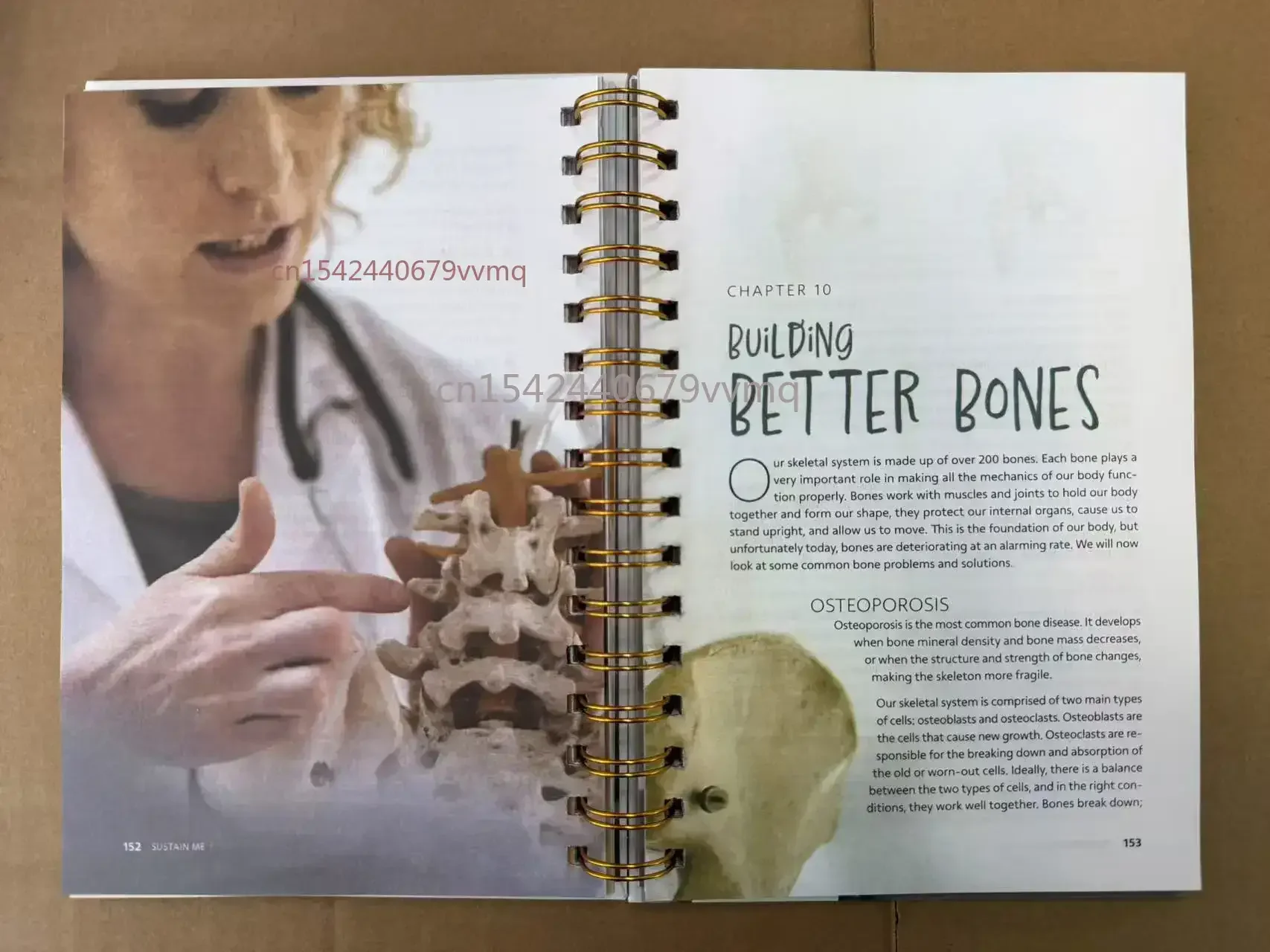Sustain Me Barbara O'Neill A Handbook of Natural Remedies The 9 Foundational Pillars for Health Paperback Book in English