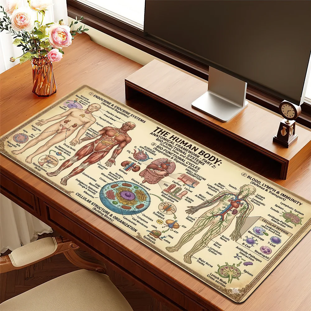 Human Anatomy Cheat Sheet Mouse Pad Non-slip Thickened MousePad Writing Lockedge Office Student Gaming Cushion Large