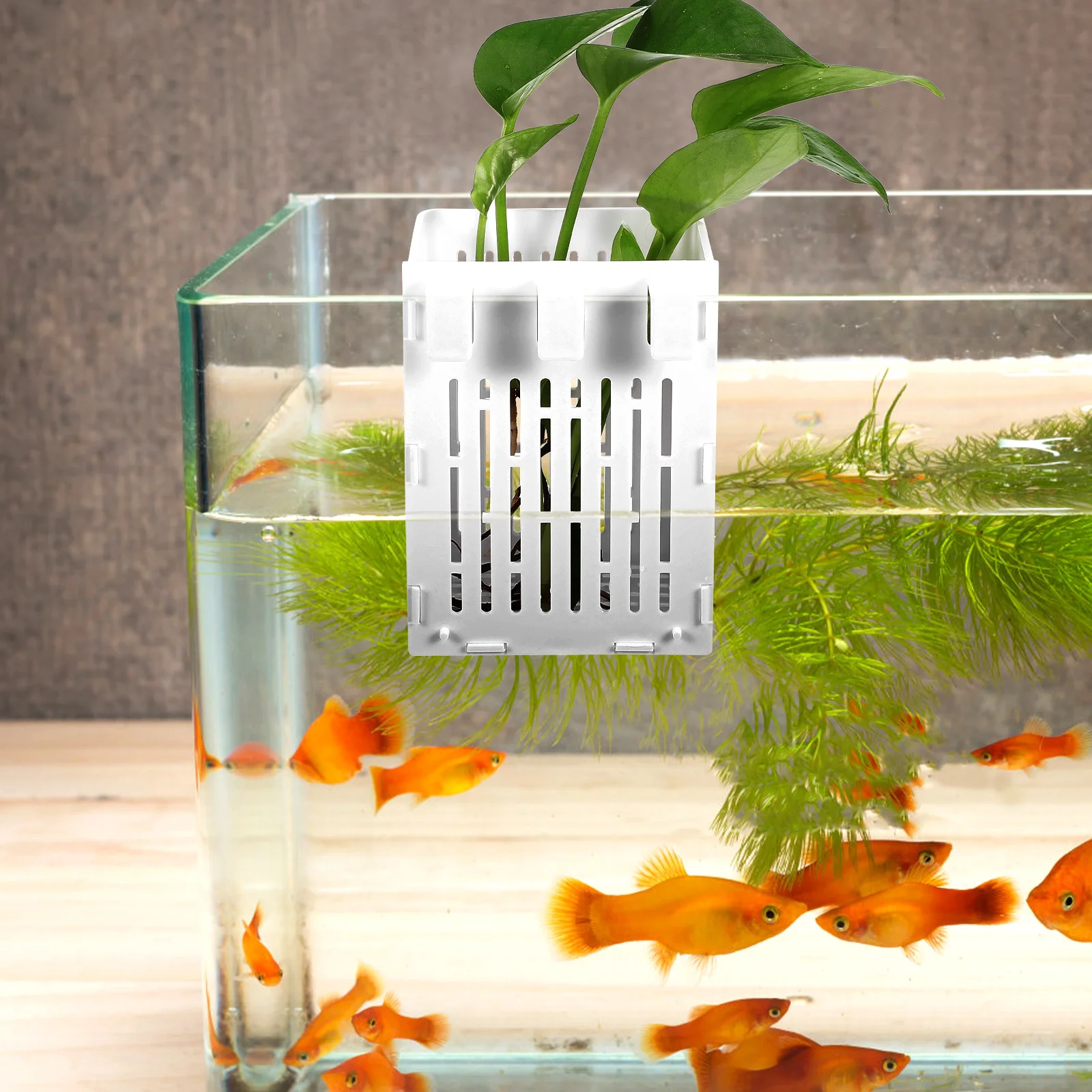 

2Pcs Aquatic Planting Baskets Hanging Aquarium Planter Box for Thriving Underwater Habitat Aquarium Supplies Fish Tank Plant Cup