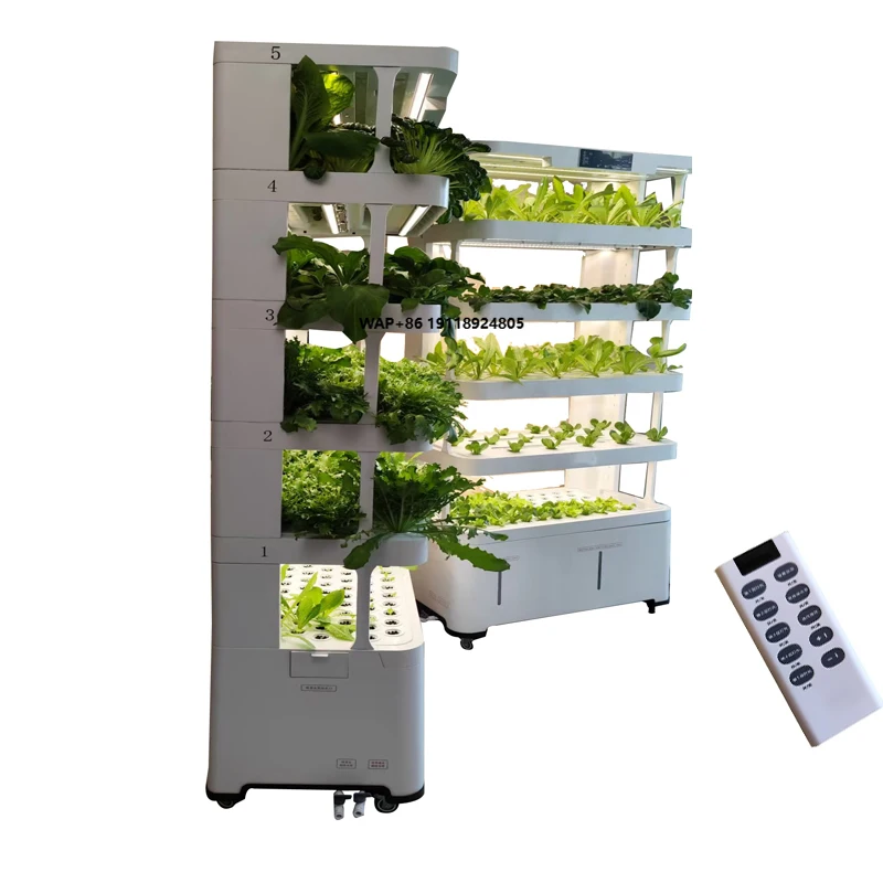 Remote Control Detachable Led Lamp Garden Greenhouse Grow Vertical Cabinet Hydroponic System for Vegetable and Fruit