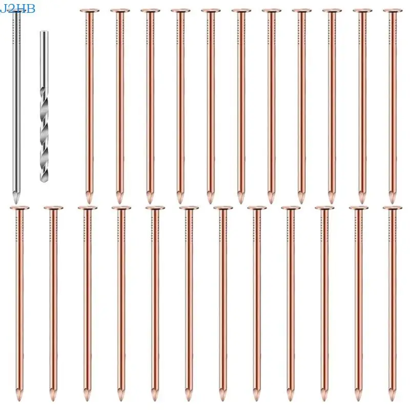 

J2HB 25Pcs Copper Nails for Killing Trees Stump Removal Spikes Tree Stump Killers with 1 Steel Nails 1 Drill Bit Nails