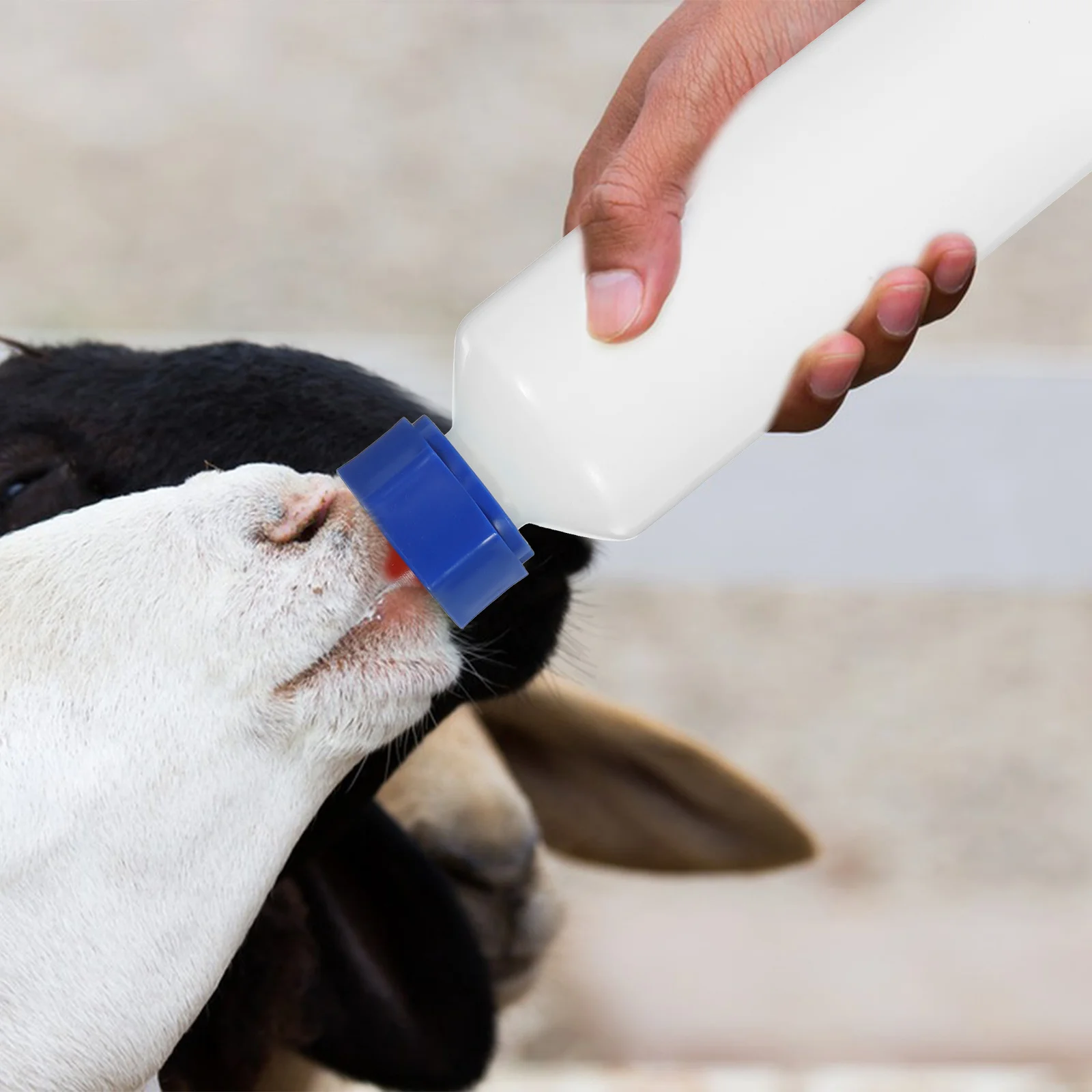 

500Ml Animal Feeding Milk Bottle Fine Workmanship Nipple Design For Lamb Goat Calf Nursing Farm Livestock Feeder Tool