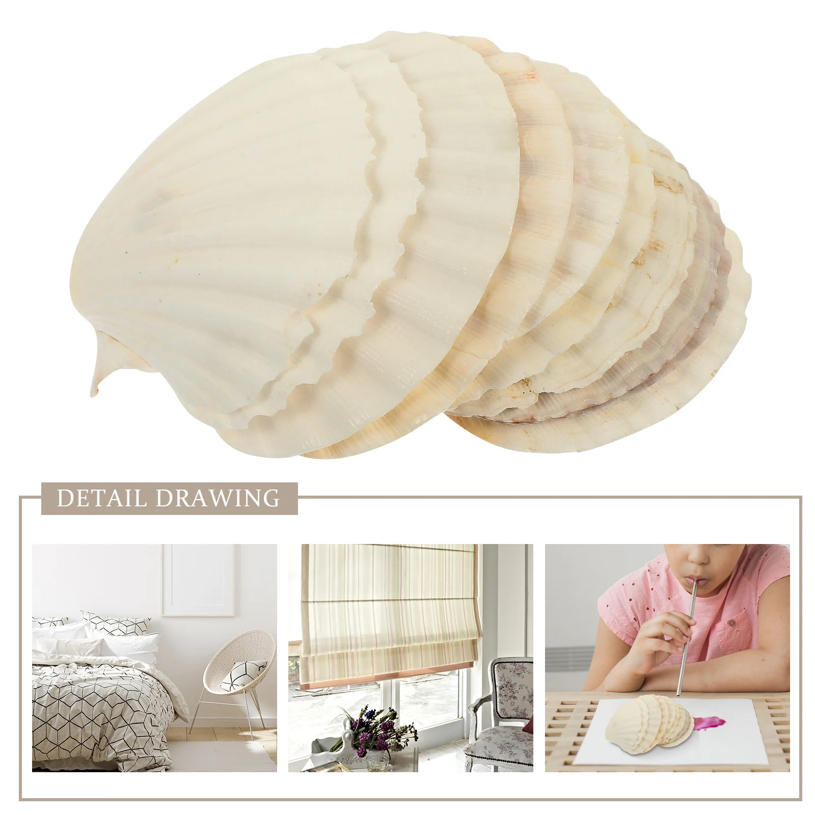 

10Pcs White Fan Shells Natural Seashells DIY Decor Aquarium Fish Tank Landscaping Ornament DIY Shell Shell Decor